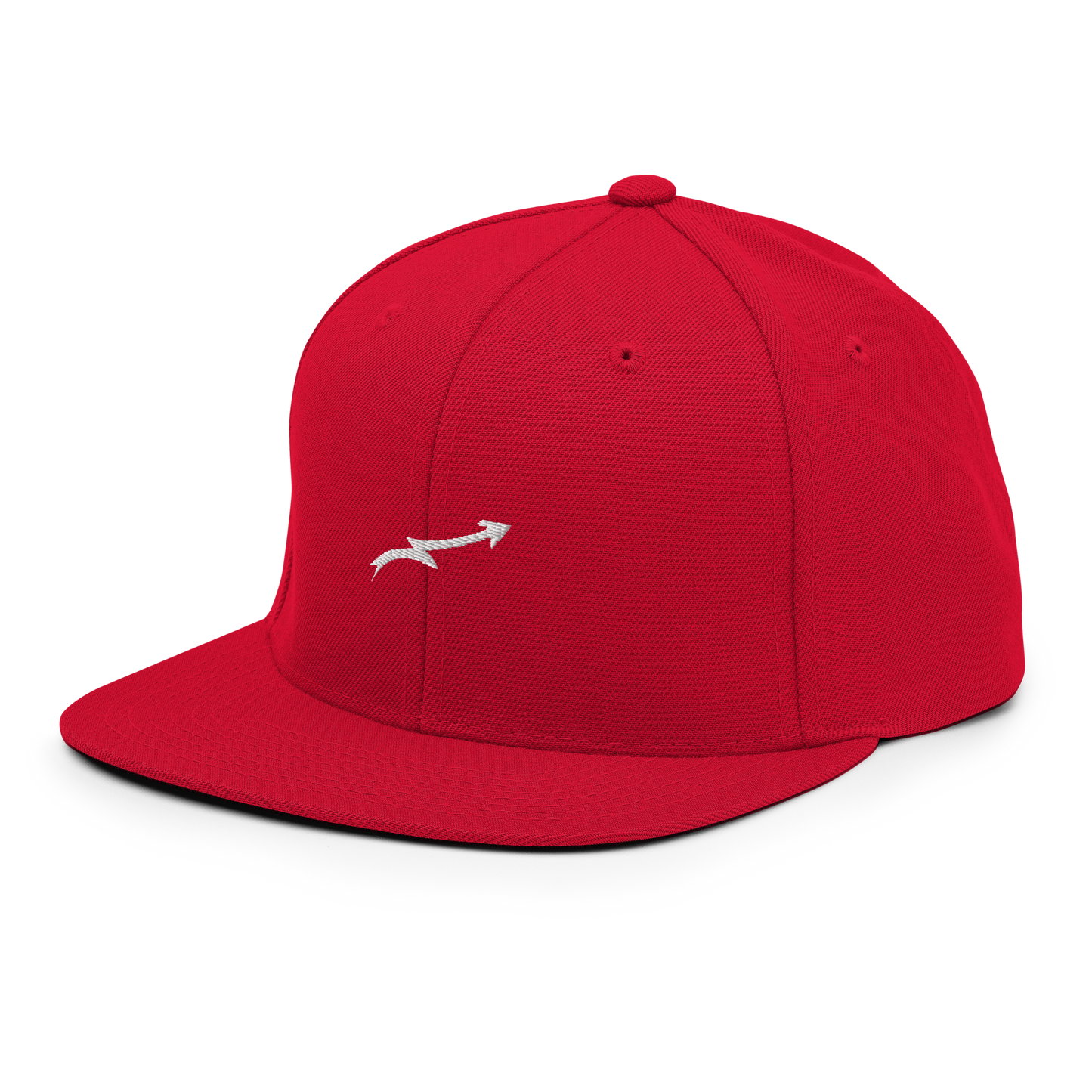 Snapback Hat