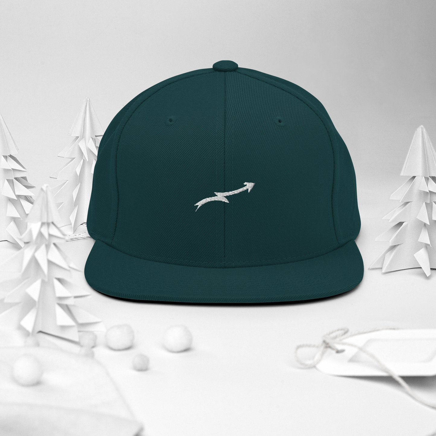 Snapback Hat