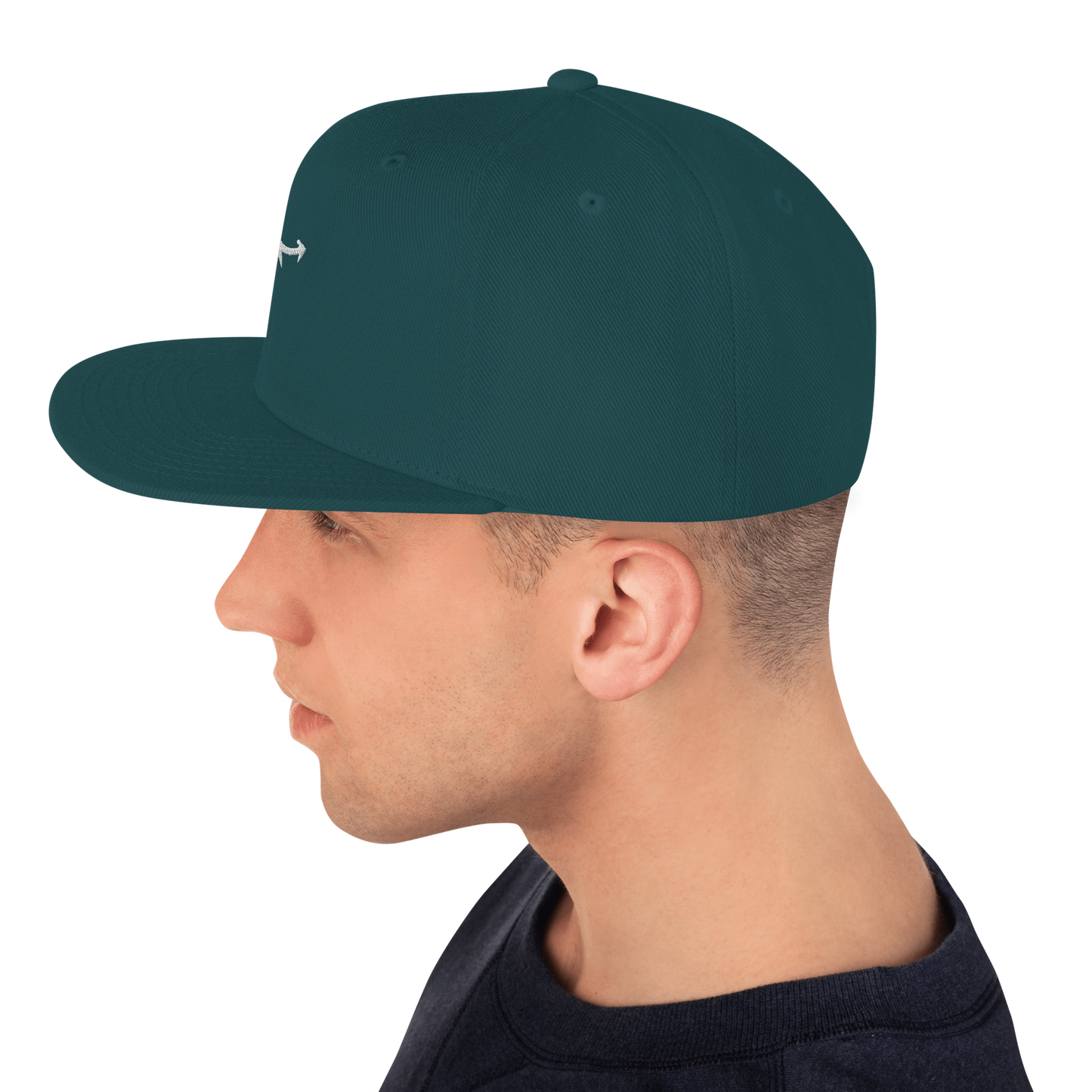 Snapback Hat