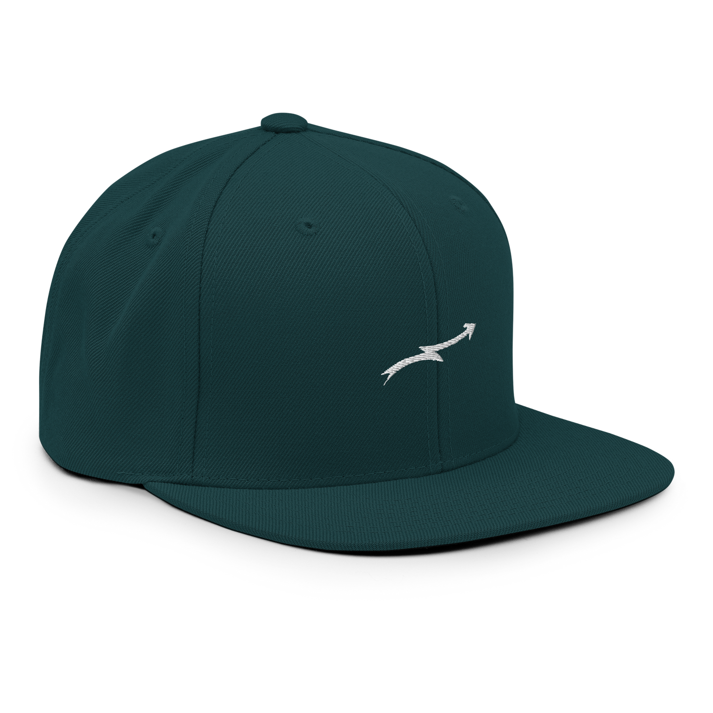 Snapback Hat