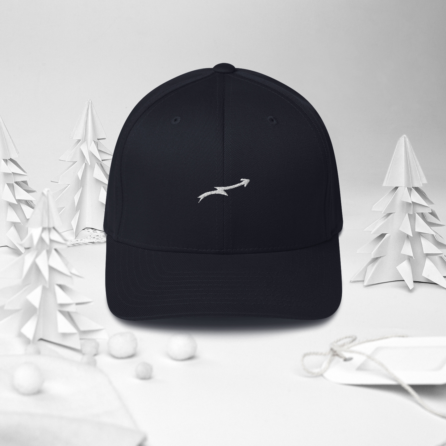 Structured Twill Cap