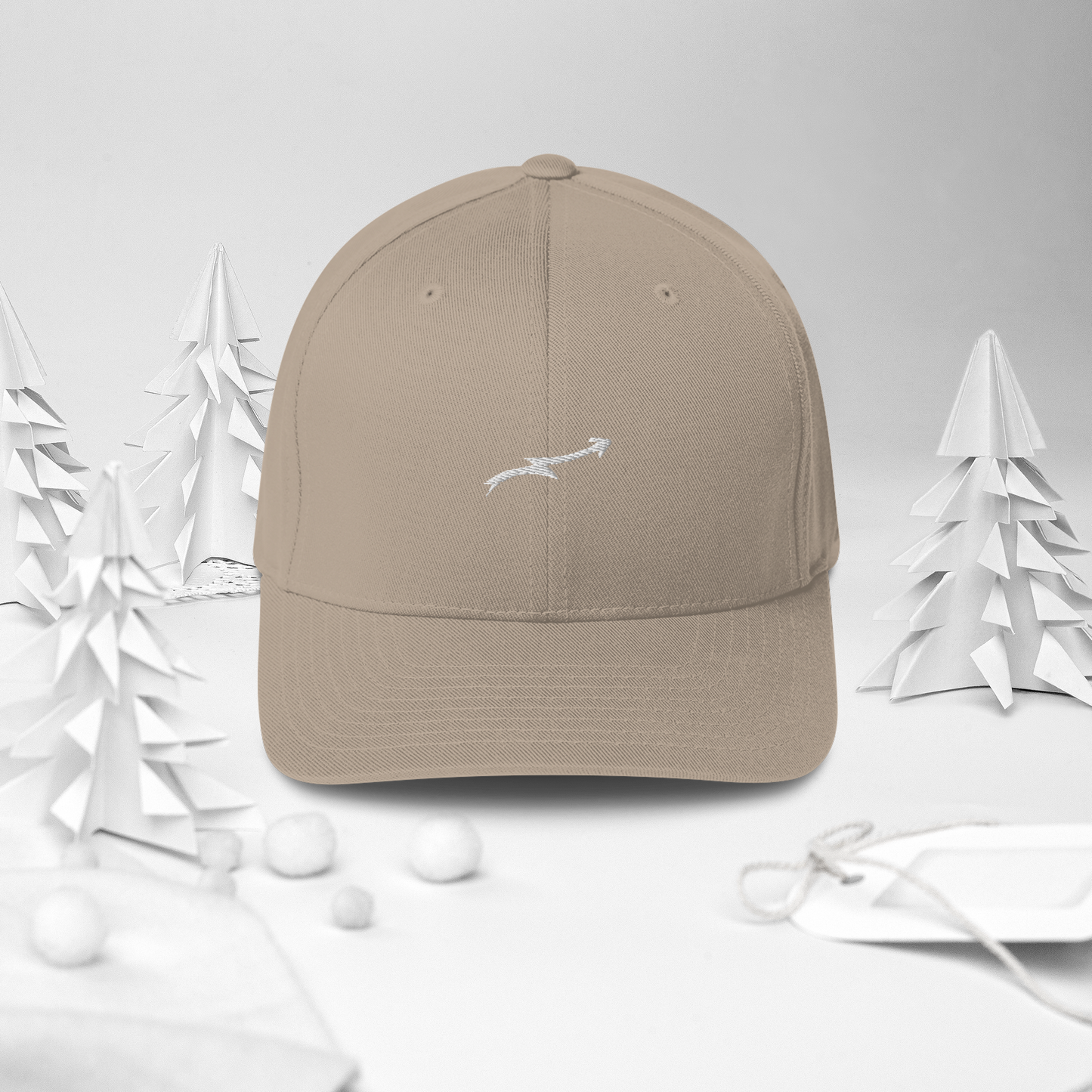 Structured Twill Cap