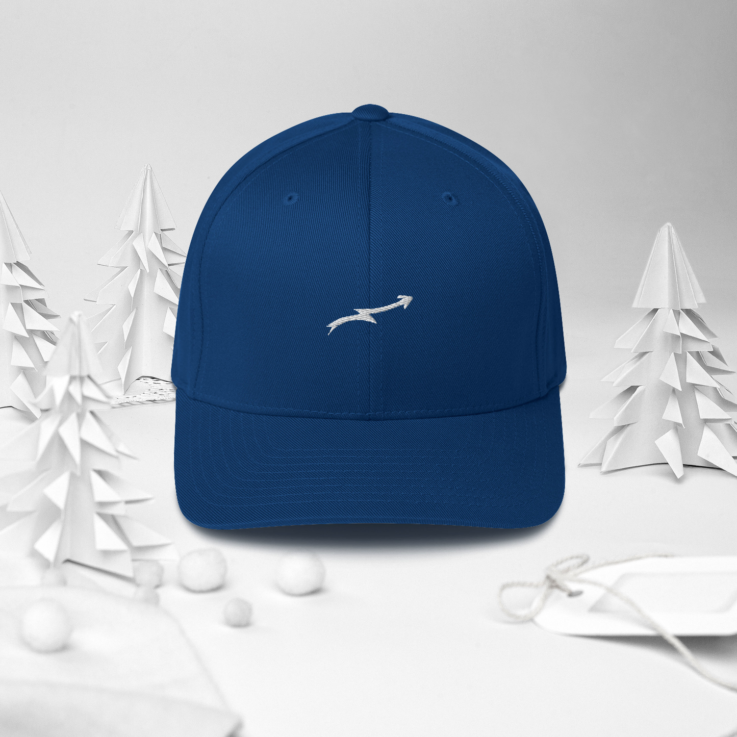 Structured Twill Cap